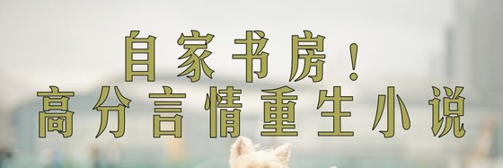 自家書房！高分言情重生小説